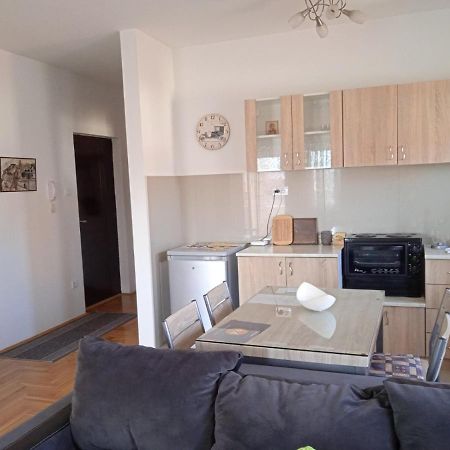 Apartment Srebrni Oblak Arandjelovac Exterior foto